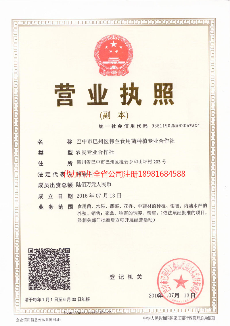 上海上海伟兰食用菌种植专业合作社