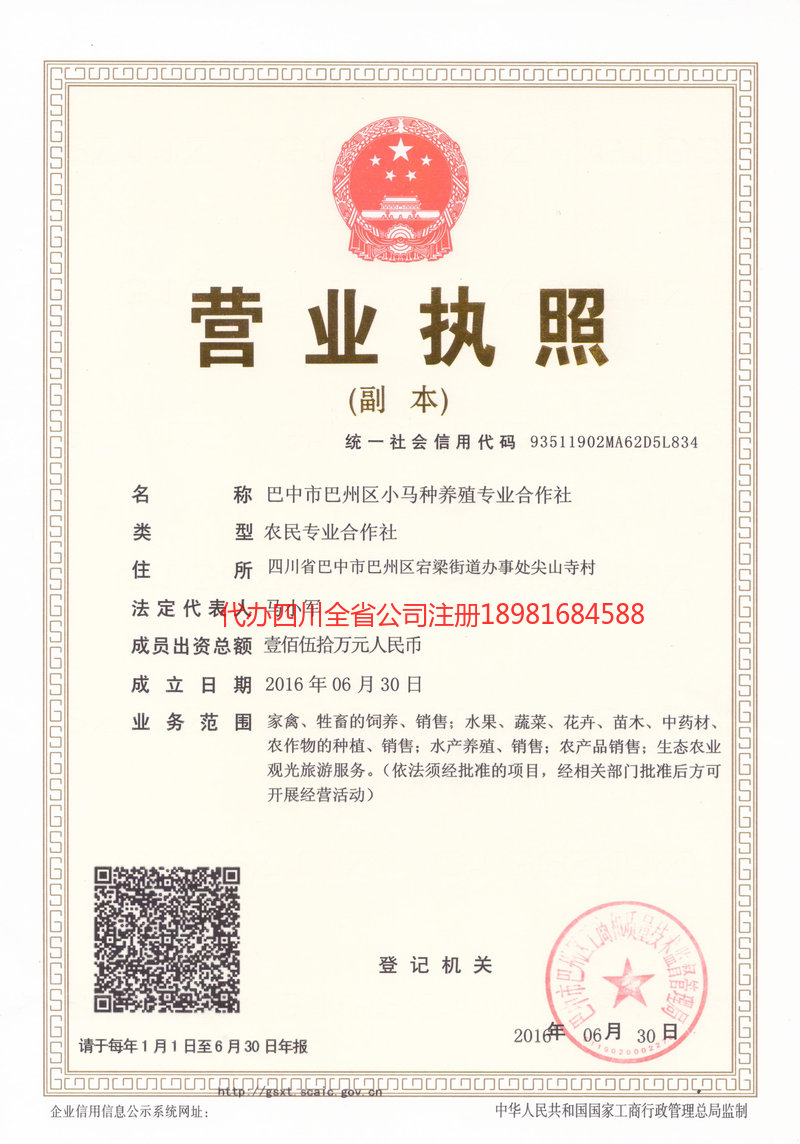 上海上海小马种养殖专业合作社